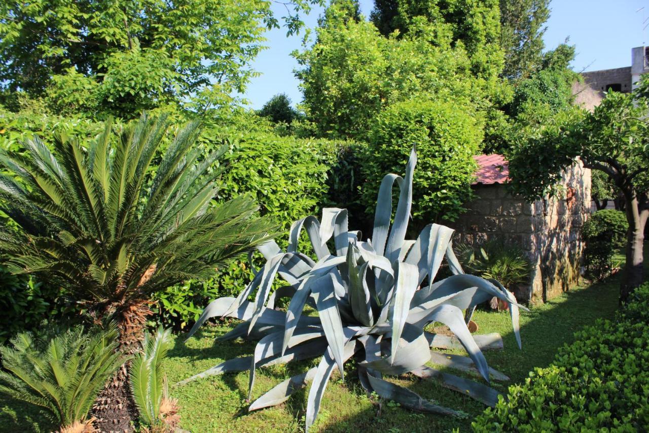 Il Giardino Degli Agrumi Касерта Екстериор снимка