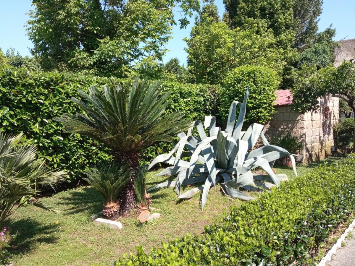Il Giardino Degli Agrumi Касерта Екстериор снимка