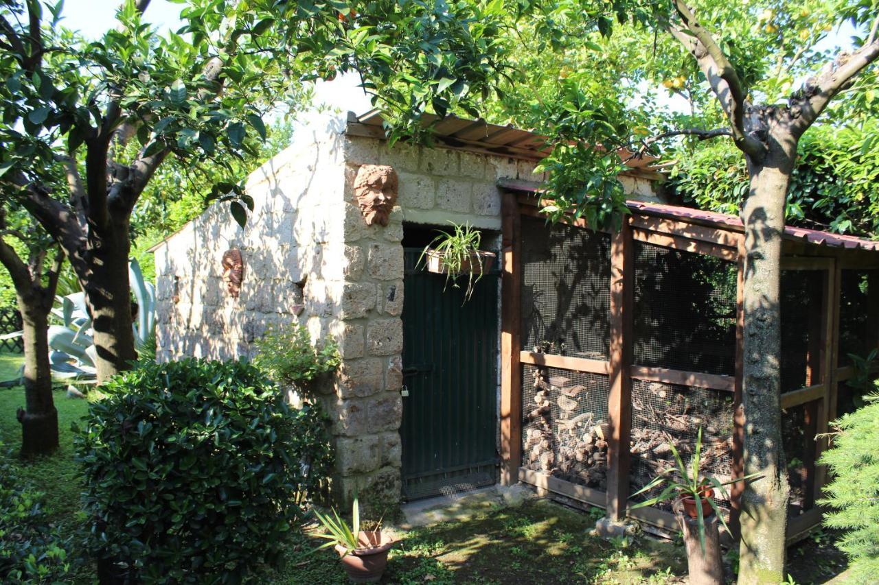 Il Giardino Degli Agrumi Касерта Екстериор снимка