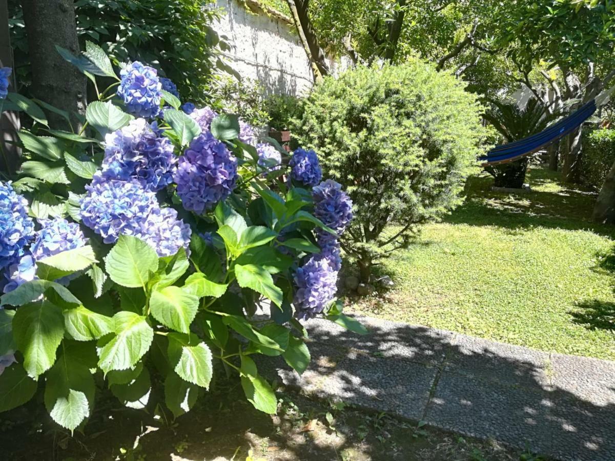Il Giardino Degli Agrumi Касерта Екстериор снимка